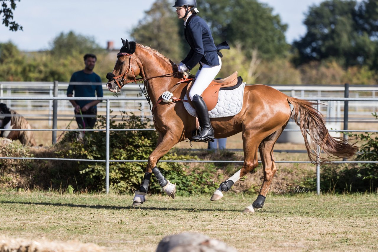 Bild 27 - Pony Akademie Turnier